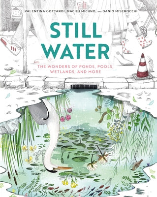 Still Water: The Wonders of Ponds, Pools, Wetlands, and More by Michno, Maciej