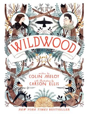 Wildwood by Meloy, Colin