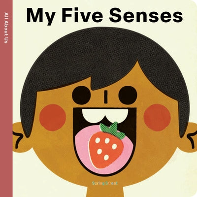 Spring Street All about Us: My Five Senses by Boxer Books