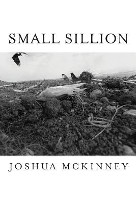 Small Sillion by McKinney, Joshua
