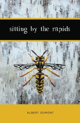 Sitting by the Rapids by Dumont, Albert