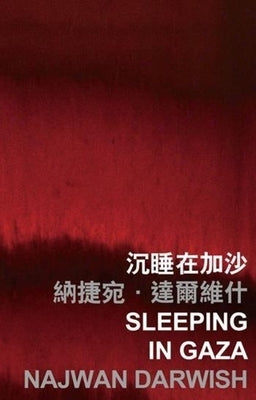 Sleeping in Gaza by Darwish, Najwan