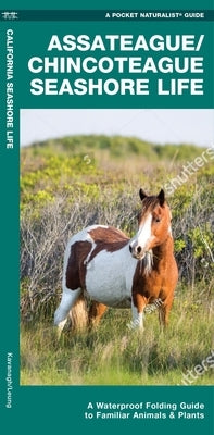 Assateague/Chincoteague Seashore Life: A Folding Guide to Familiar Animals & Plants by Waterford Press