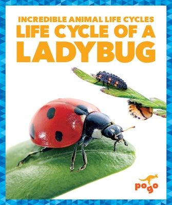 Life Cycle of a Ladybug by Kenney, Karen