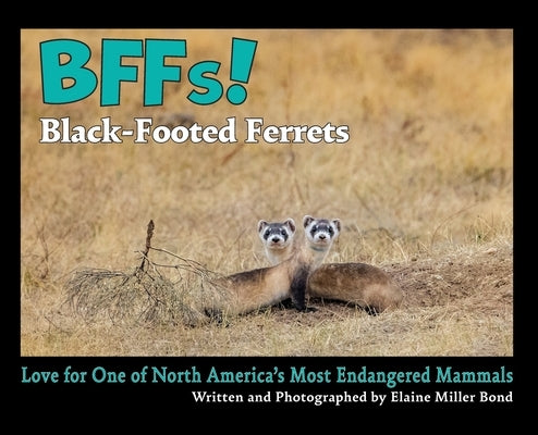 BFFs! Black-Footed Ferrets: Love for One of North Americas Most Endangered Mammals by Bond, Elaine Miller