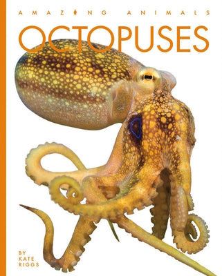 Octopuses by Riggs, Kate