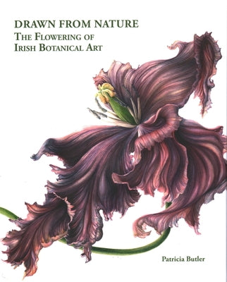 Drawn from Nature: The Flowering of Irish Botanical Art by Butler, Patricia
