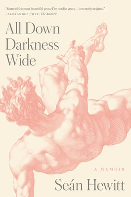 All Down Darkness Wide: A Memoir by Hewitt, SeÃ¡n