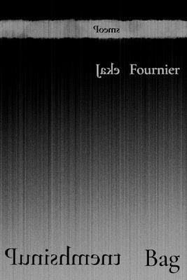 Punishment Bag: Poems by Fournier, Jake
