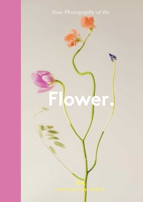 New Photography of the Flower. by Davies, Lucy