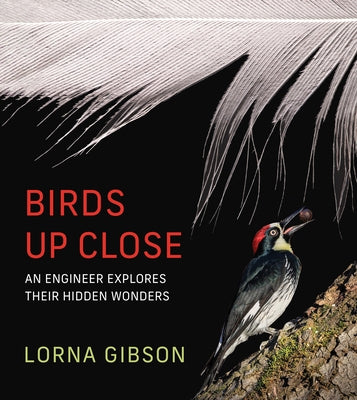Birds Up Close: An Engineer Explores Their Hidden Wonders by Gibson, Lorna