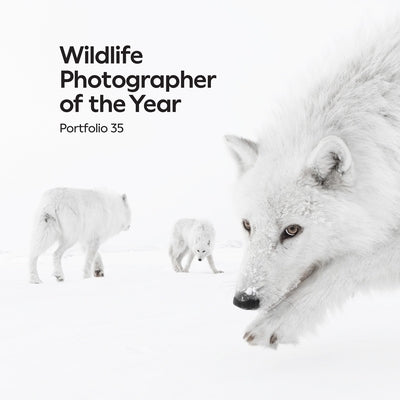 Wildlife Photographer of the Year: Portfolio 35: Volume 35 by Wilson, Keith