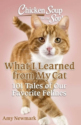 Chicken Soup for the Soul: What I Learned from My Cat: 101 Tales of Our Favorite Felines by Newmark, Amy