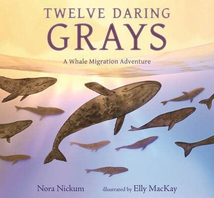 Twelve Daring Grays: A Whale Migration Adventure by Nickum, Nora