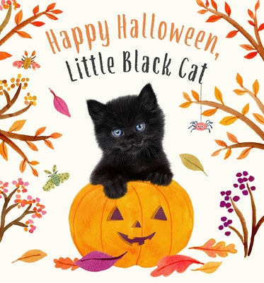 Happy Halloween, Little Black Cat: A Board Book by Wood, Amanda