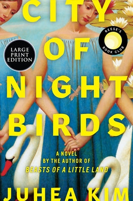 City of Night Birds by Kim, Juhea