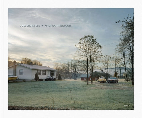 Joel Sternfeld: American Prospects by Sternfeld, Joel