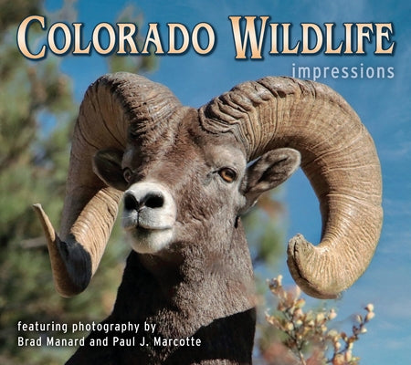 Colorado Wildlife Impressions by Manard, Brad