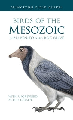 Birds of the Mesozoic by Benito, Juan