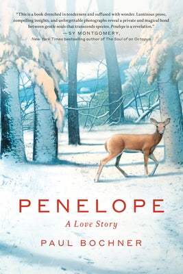Penelope: A Love Story by Bochner, Paul