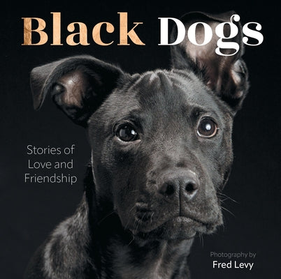 Black Dogs: Stories of Love and Friendship by Levy, Fred