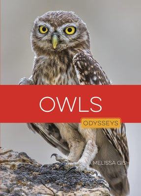 Owls by Gish, Melissa