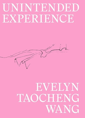 Evelyn Taocheng Wang: Unintended Experience: A Job in Amsterdam by Taocheng Wang, Evelyn