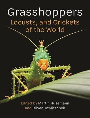 Grasshoppers, Locusts, and Crickets of the World by Husemann, Martin