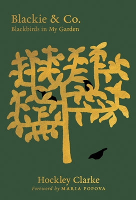 Blackie & Co.: Blackbirds in My Garden by Clarke, Hockley