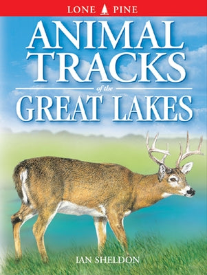 Animal Tracks of the Great Lakes by Sheldon, Ian