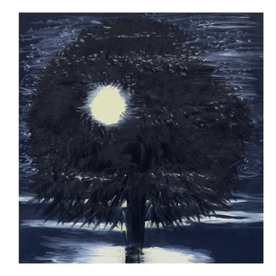 Ann Craven: Night by Craven, Ann