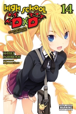 High School DXD, Vol. 14 (Light Novel): Volume 14 by Ishibumi, Ichiei