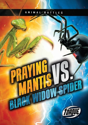 Praying Mantis vs. Black Widow Spider by Downs, Kieran