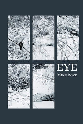 Eye by Bove, Mike