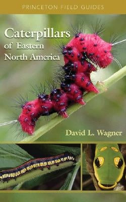 Caterpillars of Eastern North America: A Guide to Identification and Natural History by Wagner, David