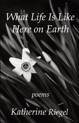 What Life Is Like Here on Earth by Riegel, Katherine