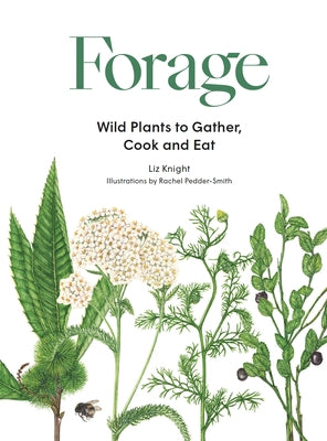 Forage: Wild Plants to Gather and Eat by Knight, Liz