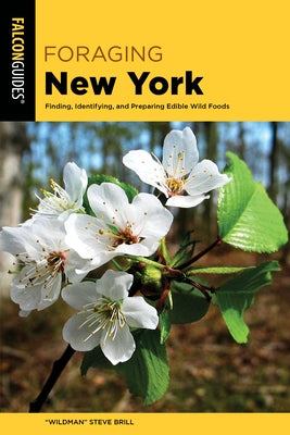 Foraging New York by Brill