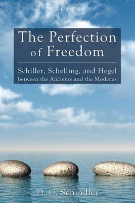 The Perfection of Freedom by Schindler, D. C.