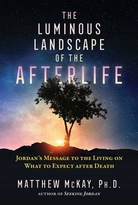 The Luminous Landscape of the Afterlife: Jordan's Message to the Living on What to Expect After Death by McKay, Matthew