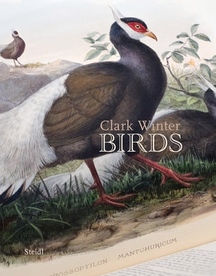 Clark Winter: Birds by Winter, Clark