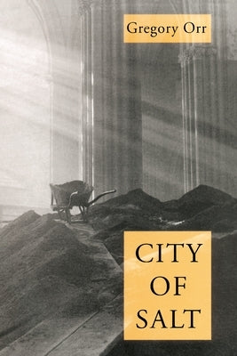 City Of Salt by Orr, Gregory