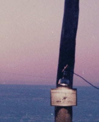 Robert Frank: Hope Makes Visions by Frank, Robert