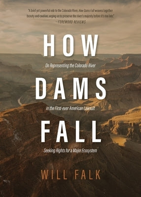 How Dams Fall by Falk, Will