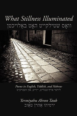 What Stillness Illuminated: Poems in English, Yiddish, and Hebrew by Taub, Yermiyahu Ahron