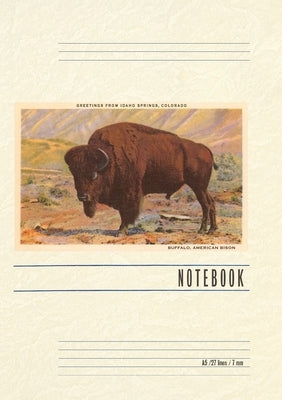 Vintage Lined Notebook Greetings from Idaho Springs by Found Image Press