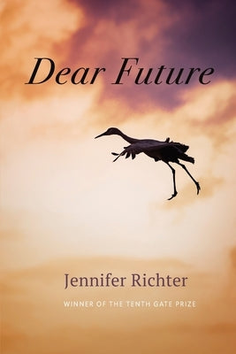 Dear Future by Richter, Jennifer