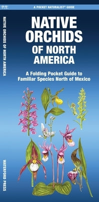 Native Orchids of North America: A Folding Pocket Guide to Familiar Species North of Mexico by Ruden, Mary