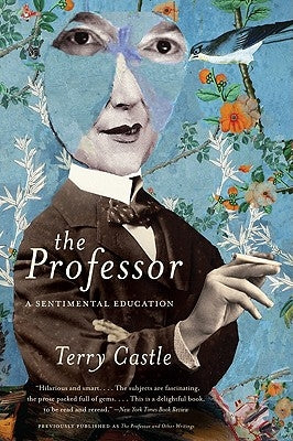 The Professor: A Sentimental Education by Castle, Terry