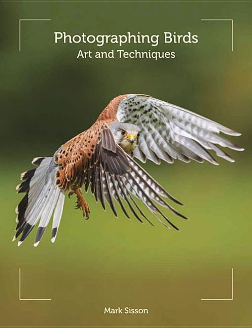Photographing Birds: Art and Techniques by Sisson, Mark